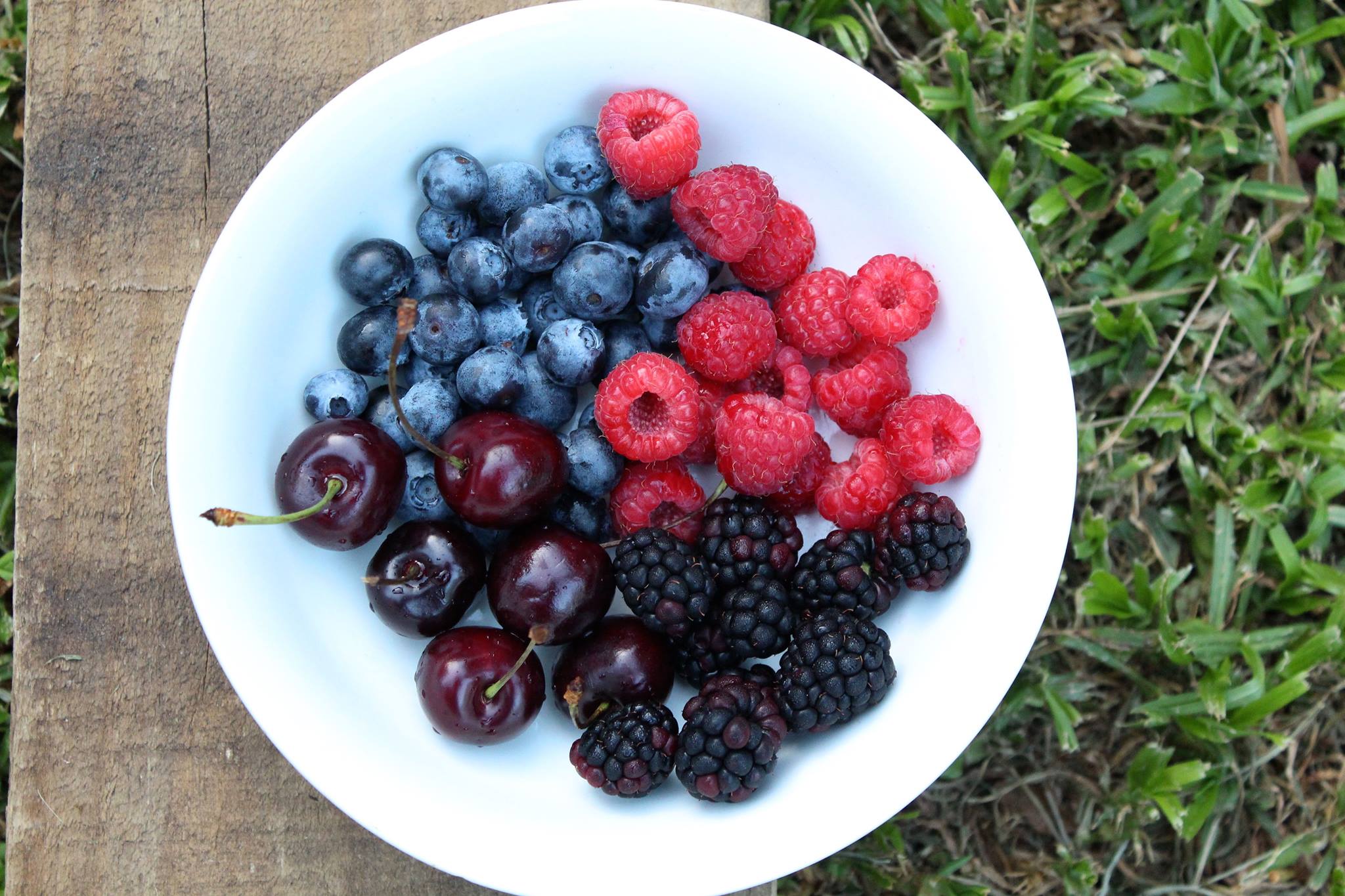 10478403_785925508122051_1738318492484758714_o