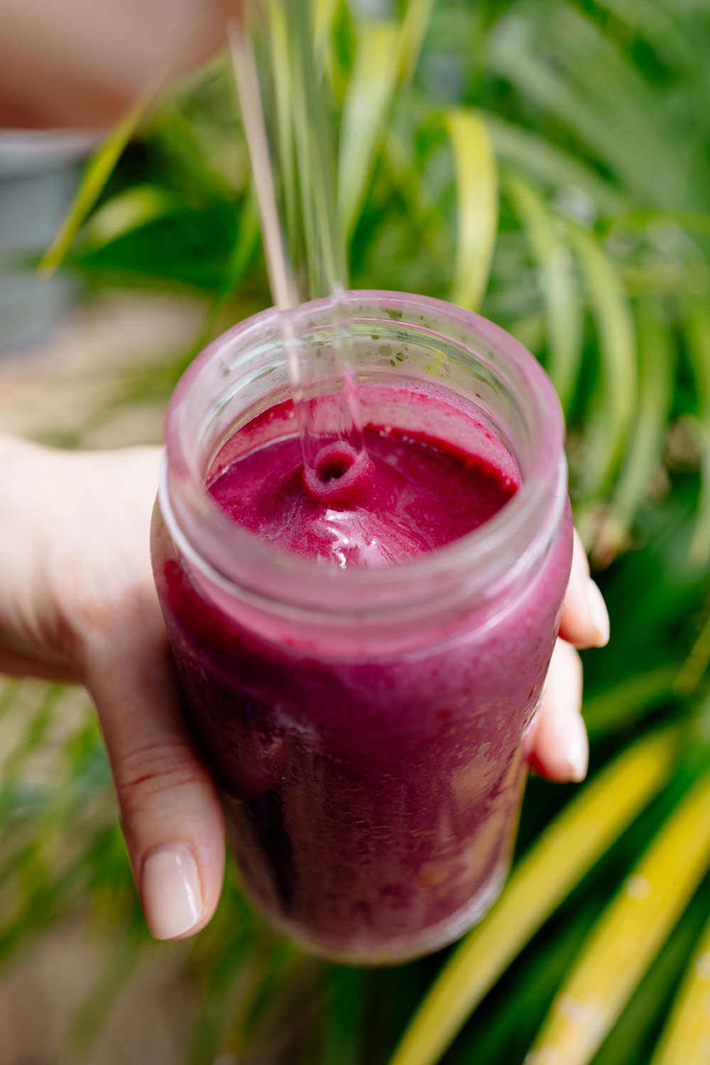 High protein blackberry smoothies